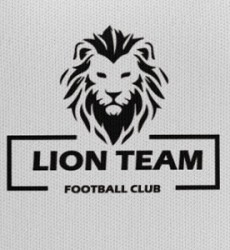 LION TEAM